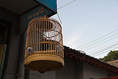 回忆拉满 《洛克人EXE合集1+2》上市宣传片欣赏